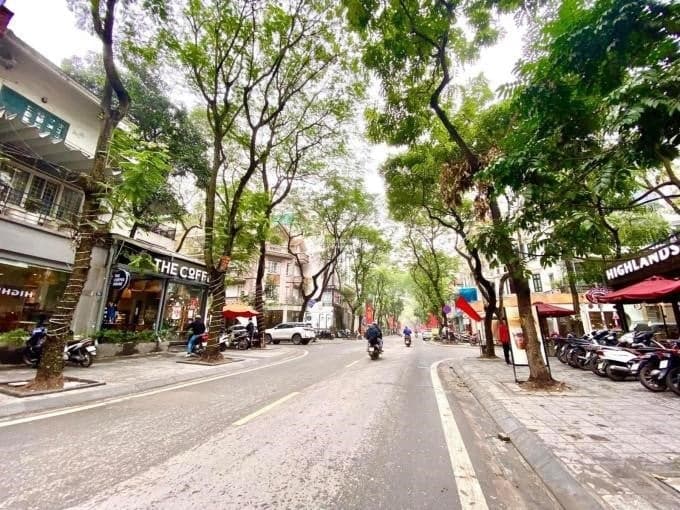 Dịch Vọng