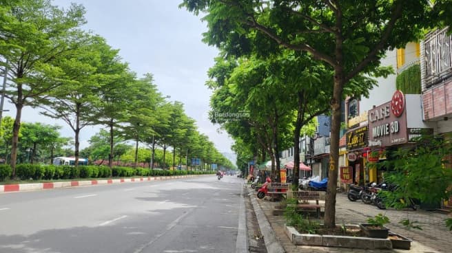 Trần Vỹ